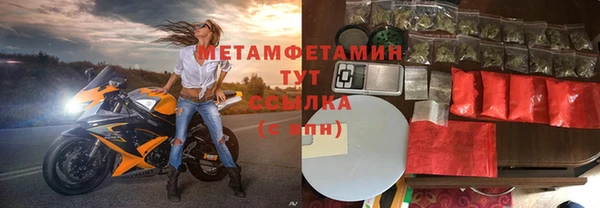 индика Кулебаки