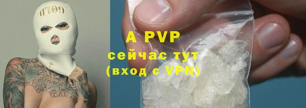 ECSTASY Волоколамск