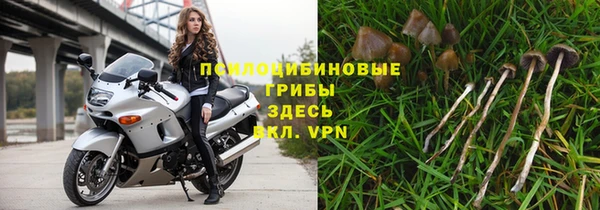 ECSTASY Волоколамск