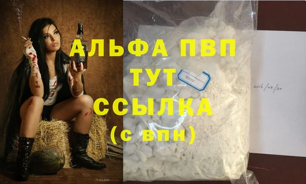 ECSTASY Волоколамск