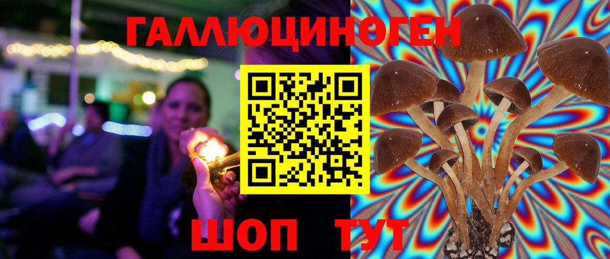 Галлюциногенные грибы Magic Shrooms  Вход с VPN  Минеральные Воды 